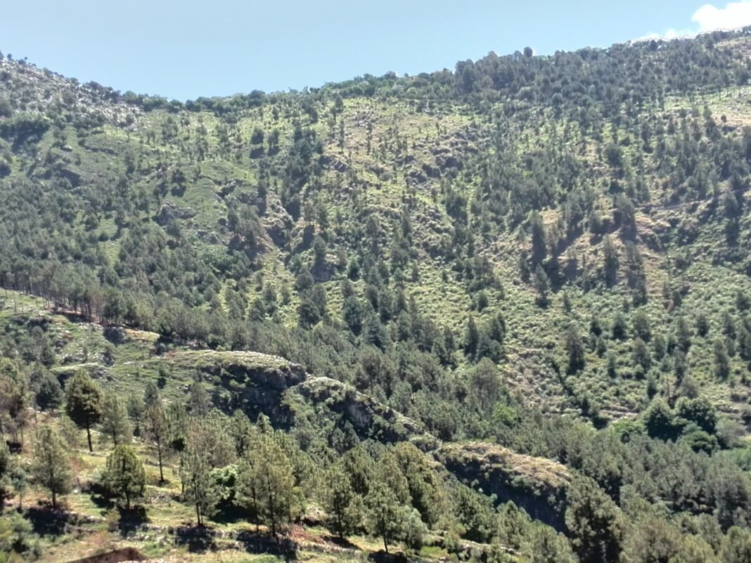 Kala Pani: Why You Should Visit & When to Go | Explore Pakistan Kala Pani: Why You Should Visit & When to Go | Explore Pakistan