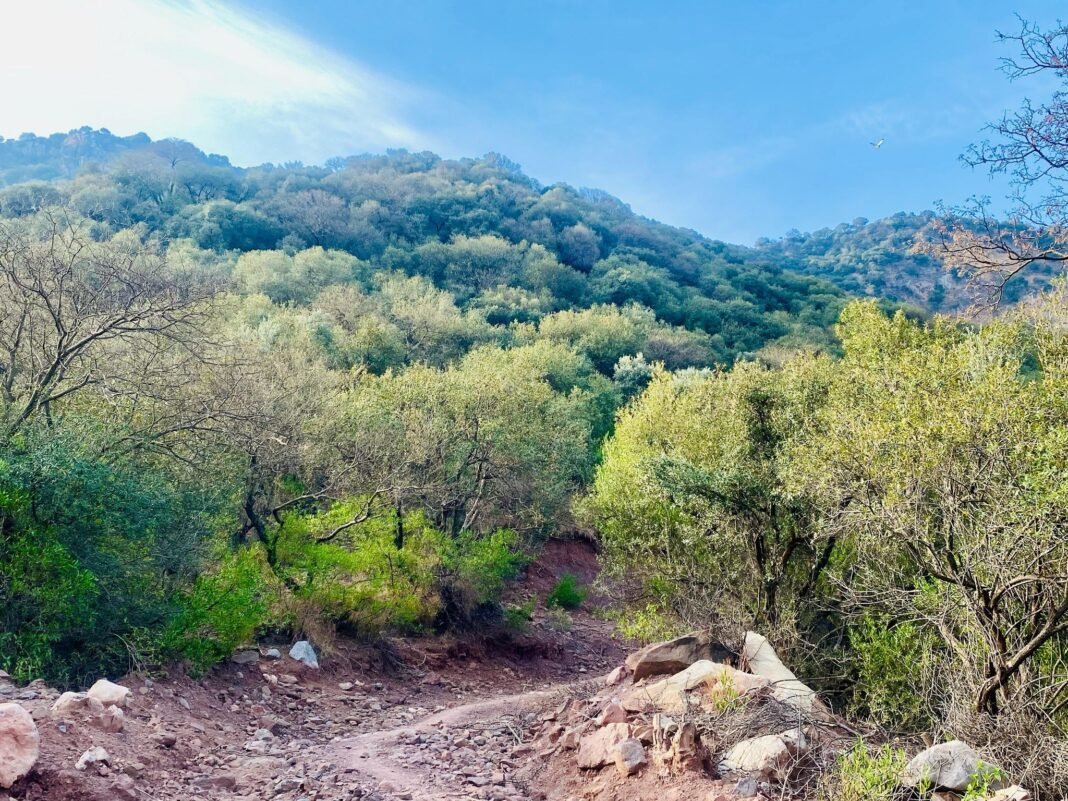 Kheri Murat Reserve Forest: Why You Should Visit & When to Go | Explore Pakistan