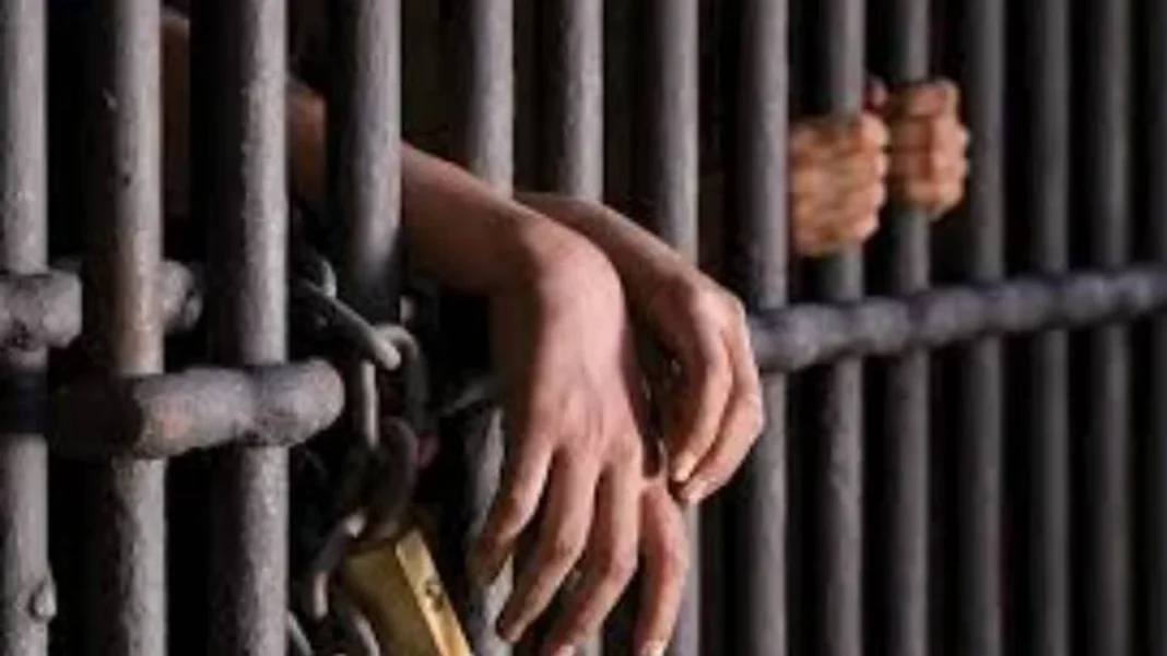 Nccia Arrests Faisalabad Man Tiktok Saudi Visa Fraud Nccia Arrests Faisalabad Man Tiktok Saudi Visa Fraud