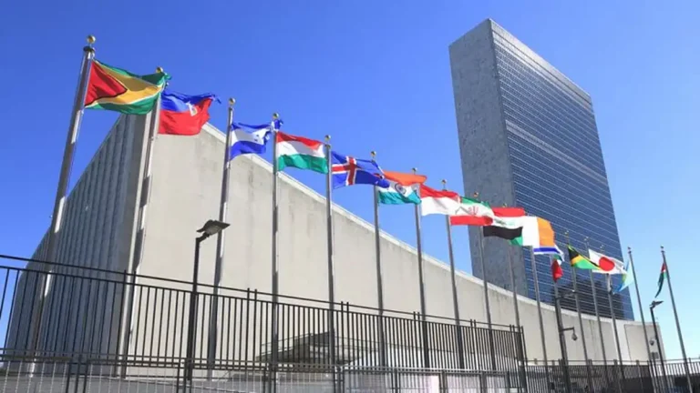 Current Representative of Pakistan to the UNO (October 2026)