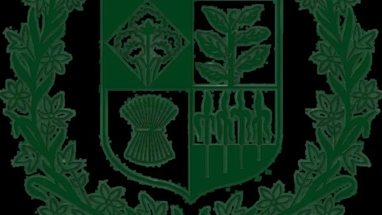 Government of Pakistan Logo PNG: Official Download Guide