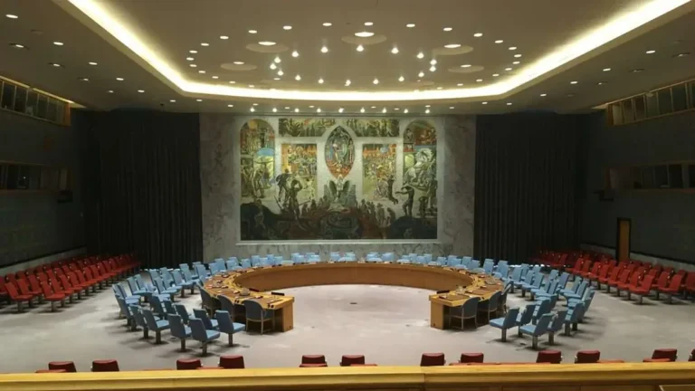 Pakistan’s Representative to the UN: Role, Powers and Security Council