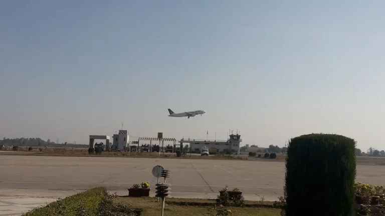 Pakistan Plane: How to Track Flights and Read AP- Registrations
