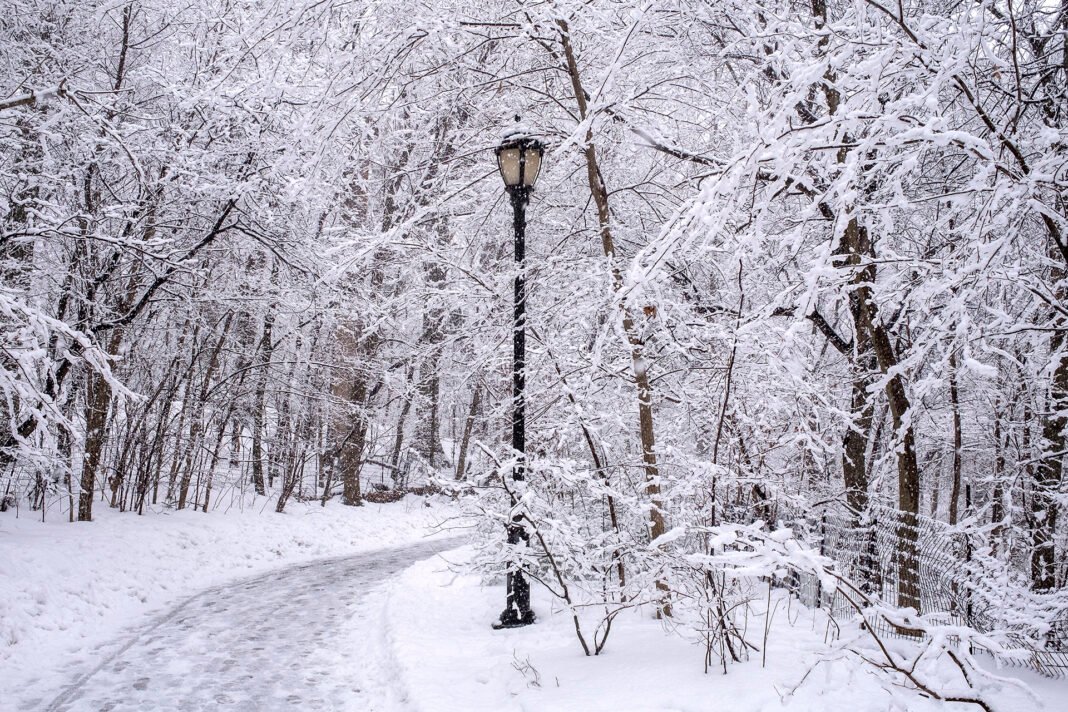 How to Protect Your Heart in Winter: 8 Cardiologist-Backed Tips