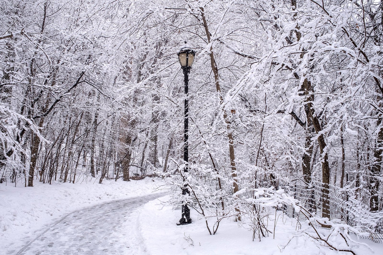 How to Protect Your Heart in Winter: 8 Cardiologist-Backed Tips