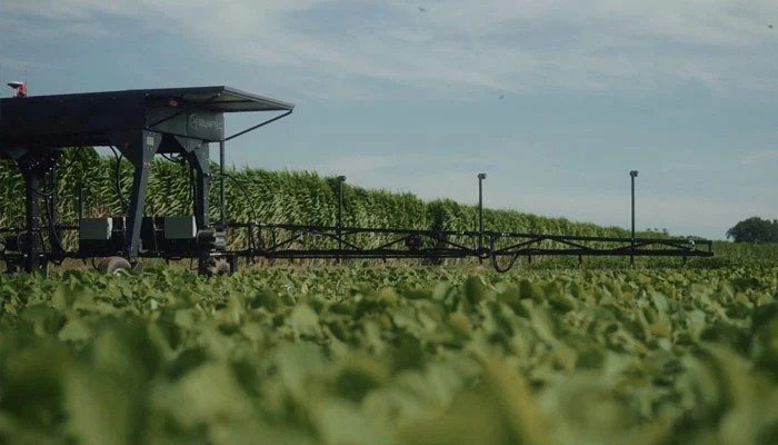 Punjab AI farmers plan: province moves to bring AI tools to the fields Punjab AI farmers plan: province moves to bring AI tools to the fields