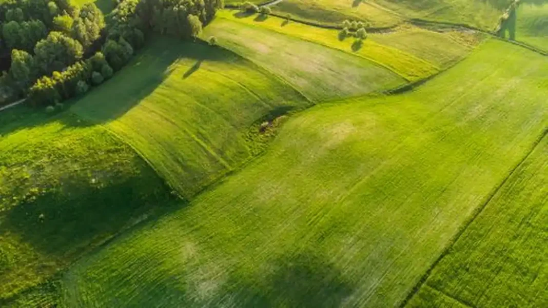 Working Boundary Pakistan: Why the Punjab–Jammu Frontier Has Its Own Name Punjab farmland aerial near the Working Boundary