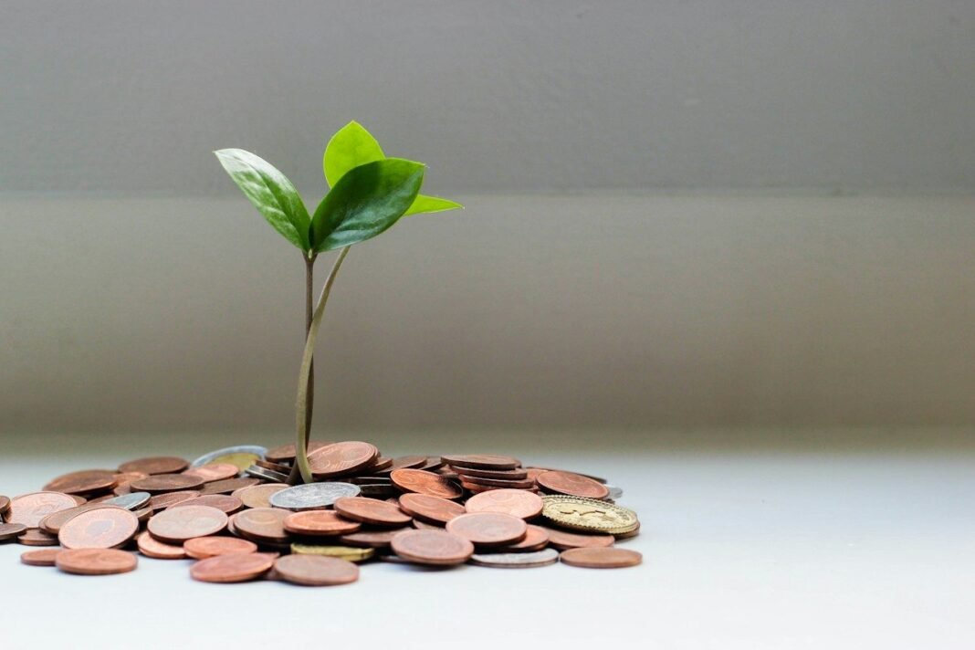 Sinking Funds Explained: The Savings Trick That Stops Surprise Bills Wrecking Your Budget Coins on a table with a small plant growing, showing how a sinking fund grows monthly