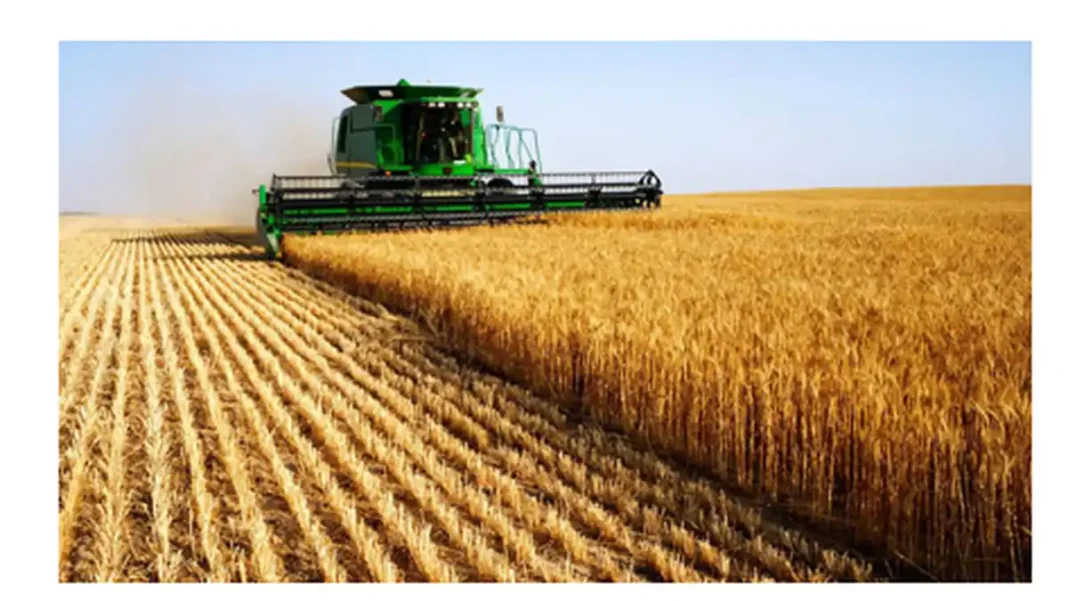 Pakistan Trade Deficit: $39.47 Billion — Why Imports Dwarf Exports Wheat harvest in Pakistan - trade deficit imports exports